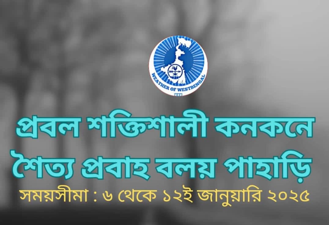 WhatsApp Image 2025-12-31 at 11.15.16 PM