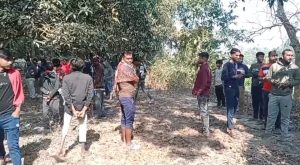 WhatsApp Image 2026-01-12 at 4.48.38 PM