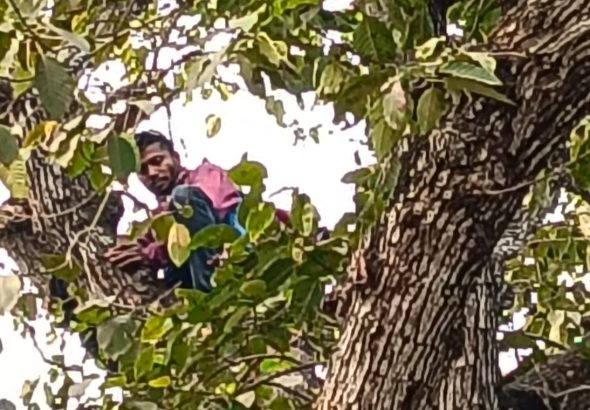 WhatsApp Image 2026-01-26 at 8.03.32 PM