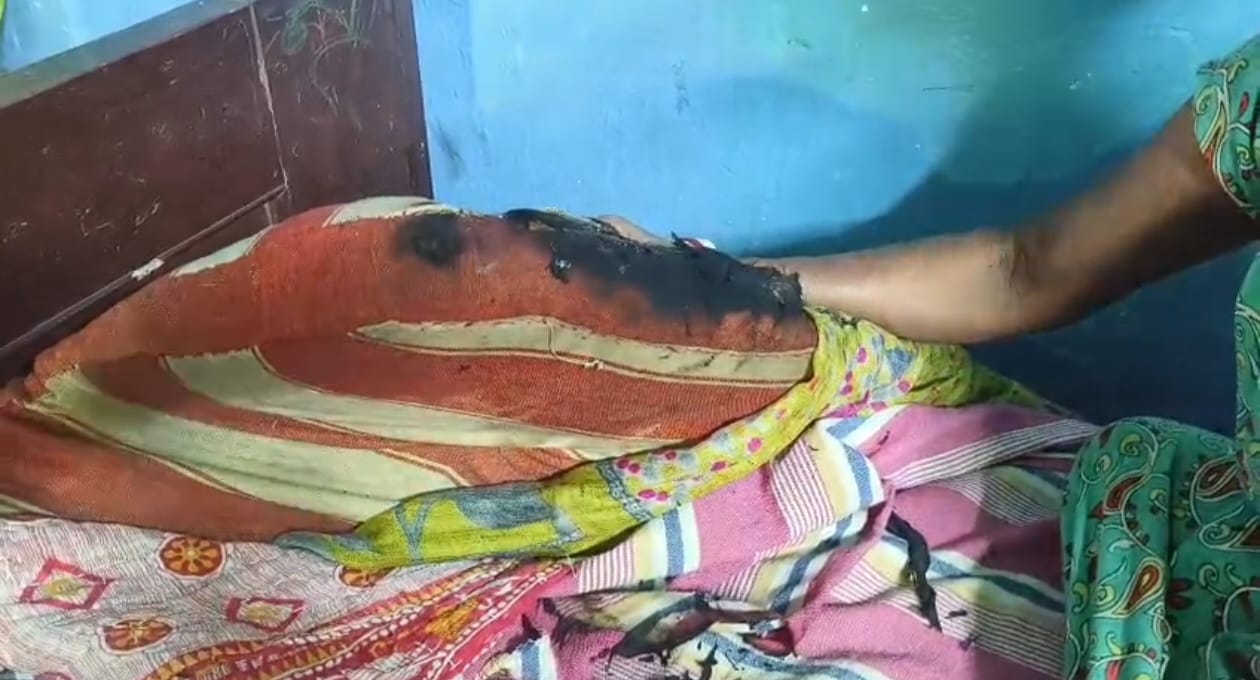 WhatsApp Image 2026-02-08 at 6.55.33 PM